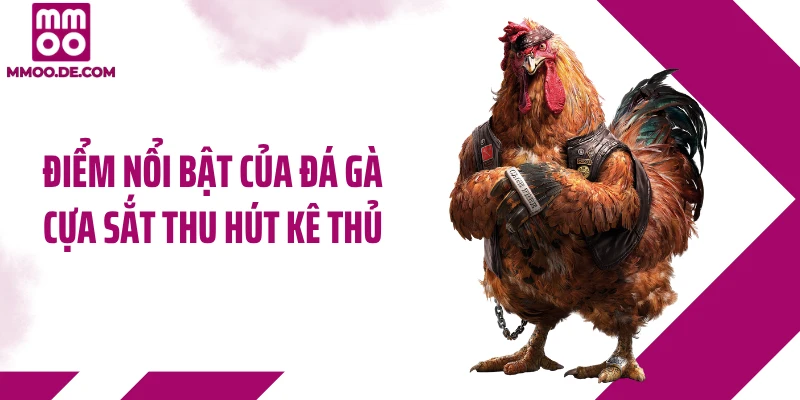 Điểm nổi bật của đá gà cựa sắt thu hút kê thủ